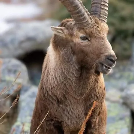 Grand Rive Bed and breakfast Saint-Pierre