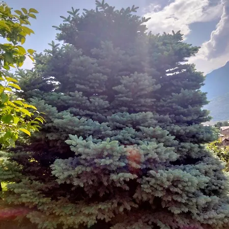 Bed and breakfast Grand Rive 3*