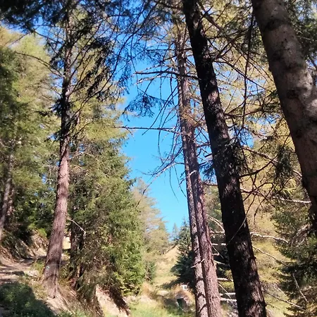 Bed and breakfast Grand Rive Saint-Pierre