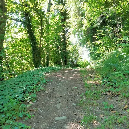 Grand Rive Bed and breakfast