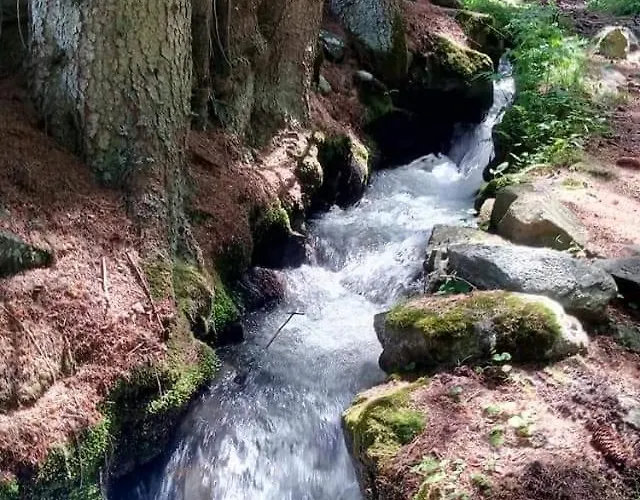 Nocleg ze śniadaniem Grand Rive