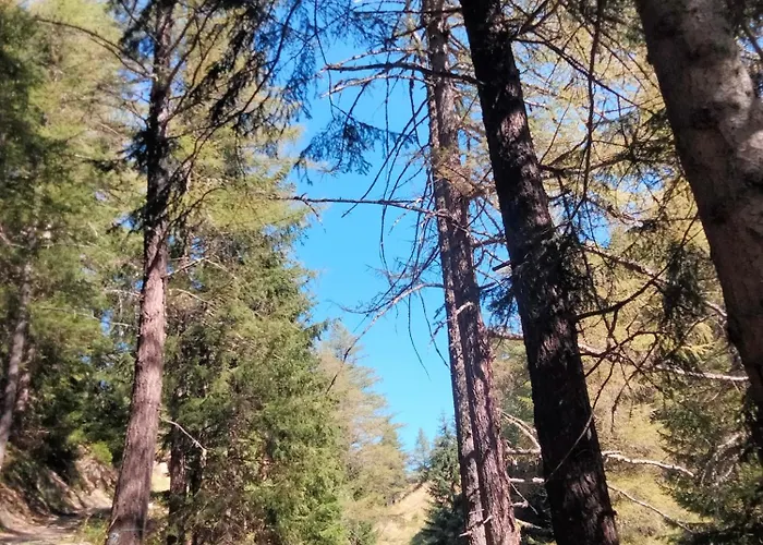 Bed and breakfast Grand Rive Saint-Pierre